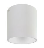 DOWNLIGHT OPBOUW 