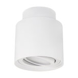 HARIET C - Opbouwspot - Rond - GU10 Fitting - 1 Lichtpunt - past over centraaldoos - Wit - plafondspot - Spotjes voor woonkamer, slaapkamer of keuken