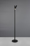 Gomez - Vloerlamp/staandlamp - CCT kleuren Aanpasbare licht kleuren - 3000+4000+6500K - Zwart