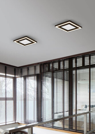 Reality - LED Plafondlamp - Carus - 17W - Warm Wit 3000K - Vierkant - Zwart - Kunststof