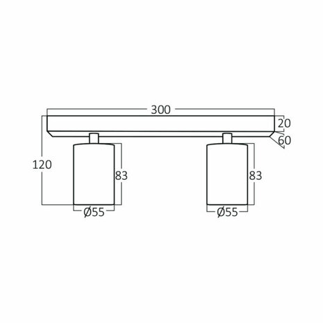 Plafondspot - GU10 Fitting - 2-lichts - Rond - Mat Wit - Kantelbaar - Aluminium