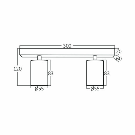 Plafondspot - GU10 Fitting - 2-lichts - Rond - Mat Zwart - Kantelbaar - Aluminium