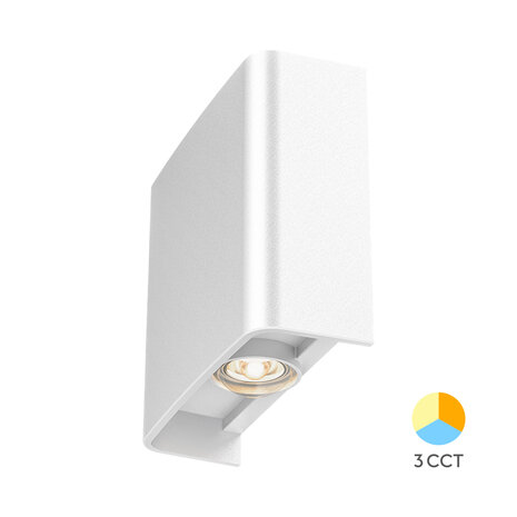 Braytron - LED Wandlamp - Buitenlamp - 2x1W - CCT Aanpasbare licht kleuren - 3000K,4000K,6000K - Wit - IP65