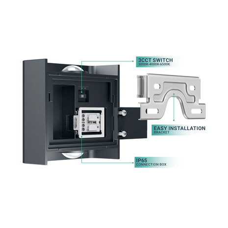 Braytron - LED Wandlamp - Buitenlamp - 2x1W - CCT Aanpasbare licht kleuren - 3000K,4000K,6000K - Zwart - IP65