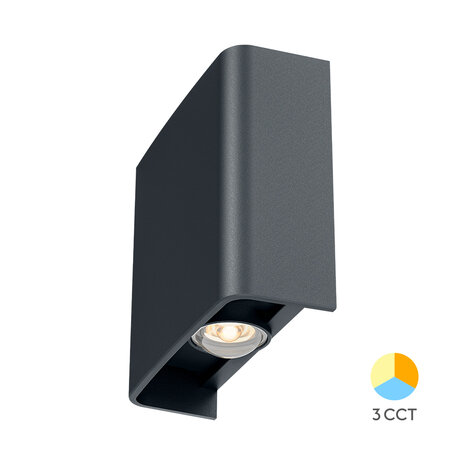 Braytron - LED Wandlamp - Buitenlamp - 2x1W - CCT Aanpasbare licht kleuren - 3000K,4000K,6000K - Zwart - IP65