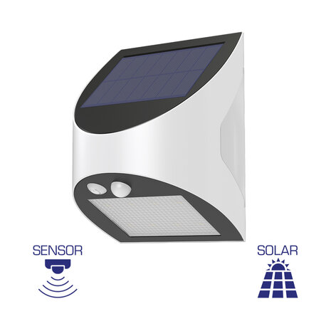 Braytron - Solar Wandlamp Buiten &ndash; Solar Tuinverlichting &ndash; Zonne Energie Buitenverlichting &ndash; 3w - Helder wit 6500K - met sensor