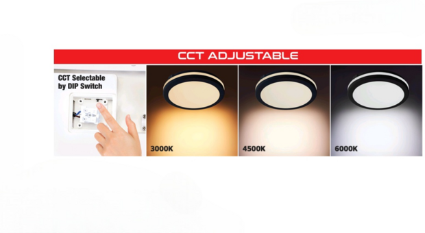 SCARLET - LED Plafondlamp - Keuken, Woonkamer, Badkamer - &Oslash;300 mm - 30W - 2700 Lumen - CCT Aanpasbare licht kleuren - 3000K 4000K 6500K - Zwart kleur - Opbouw - Rond - IP65