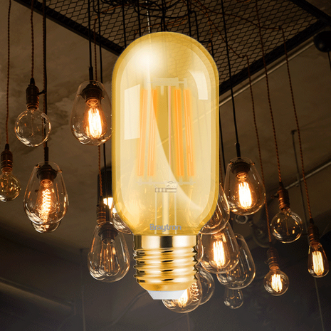 Braytron Lampe LED - Ampoule LED 4W E27 T45 Amber 2200K Warm wit - Amber