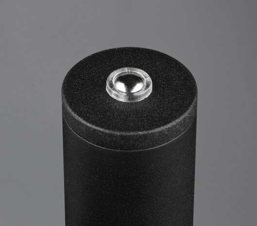 Gomez - Vloerlamp/staandlamp - CCT kleuren Aanpasbare licht kleuren - 3000+4000+6500K - Zwart