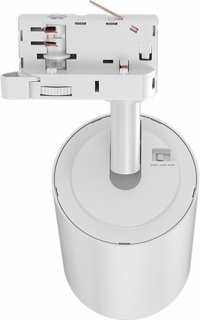 LED Railspot - Track Spot - Braytron - 3-Fase - 30W 2960lm 38D - Aanpasbare Lichtkleur CCT - Wit