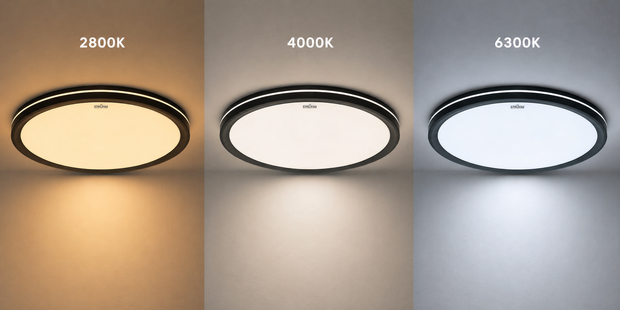 AMADEUS LED C - Plafondlamp - Keuken/Woonkamer/Slaapkamer - Aanpasbare kleur CCT - Warm Wit / Daglicht / Koud wit - 24w -3240Lumen - Zwart - 300mm